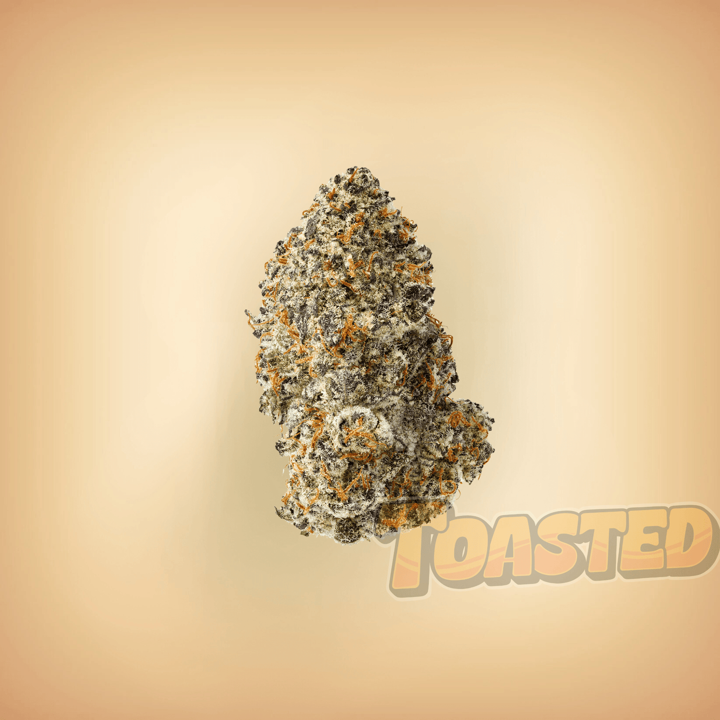 Gary Payton - Toasted