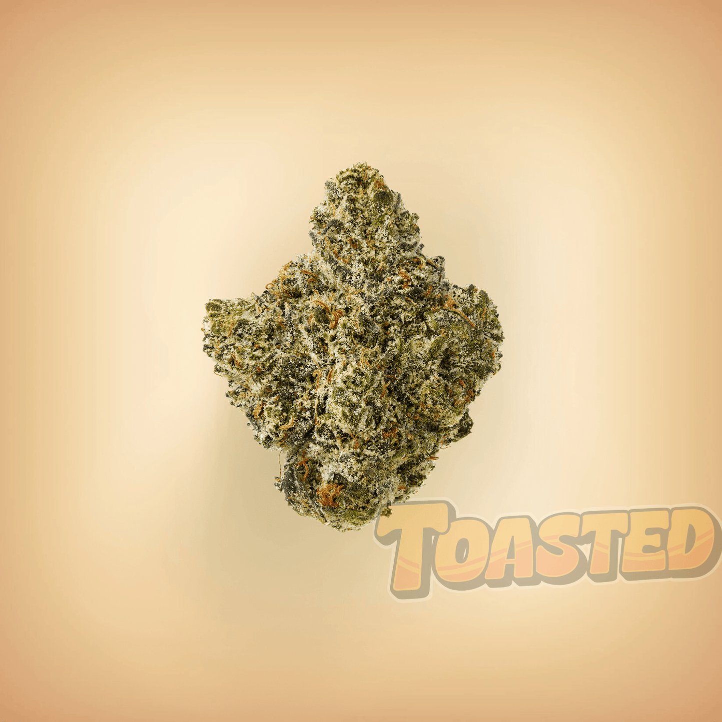 Magic Melon - Toasted