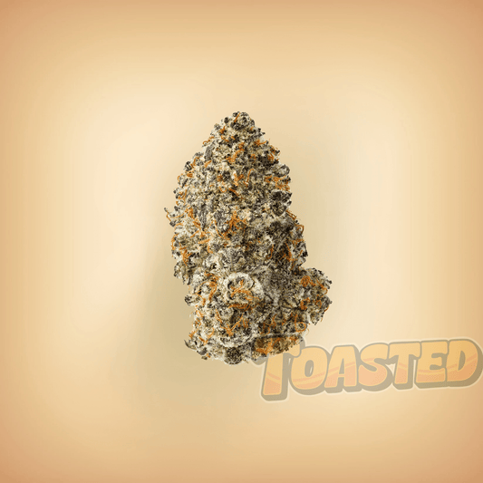 Gary Payton - Toasted