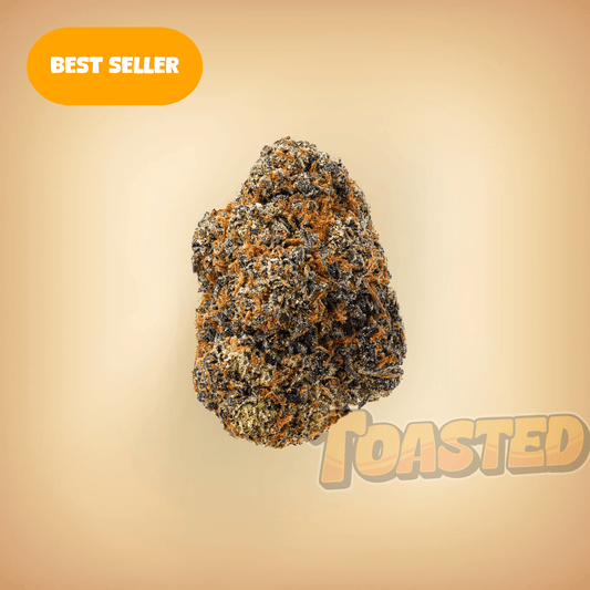 Joker - Toasted
