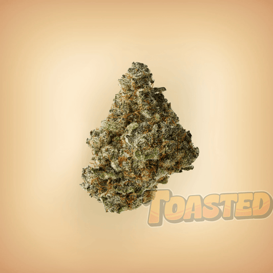 Kush Mintz - Toasted